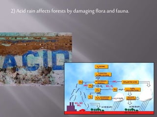 2) Acid rain affectsforests by damagingflora and fauna.
 