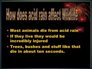 Acid rain and its effects 