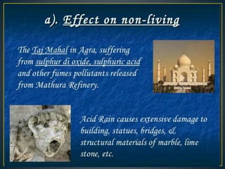 Acid rain and its effects 