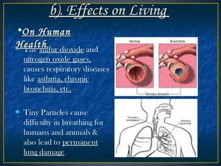 Acid rain and its effects 