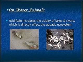 Acid rain and its effects 