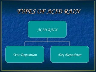Acid rain and its effects 