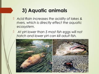 Acid rain | PPT | Chemistry | Science