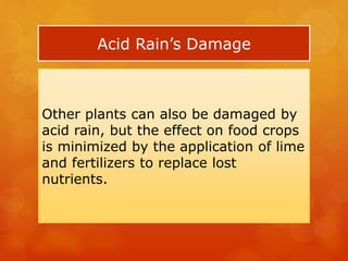 Acid Rain’s Damage
Other plants can also be damaged by
acid rain, but the effect on food crops
is minimized by the application of lime
and fertilizers to replace lost
nutrients.
 