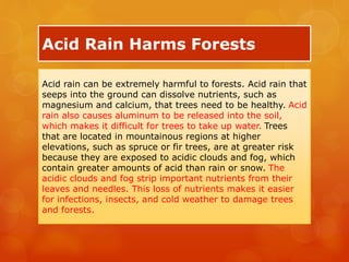 Acid Rain Harms Forests
Acid rain can be extremely harmful to forests. Acid rain that
seeps into the ground can dissolve nutrients, such as
magnesium and calcium, that trees need to be healthy. Acid
rain also causes aluminum to be released into the soil,
which makes it difficult for trees to take up water. Trees
that are located in mountainous regions at higher
elevations, such as spruce or fir trees, are at greater risk
because they are exposed to acidic clouds and fog, which
contain greater amounts of acid than rain or snow. The
acidic clouds and fog strip important nutrients from their
leaves and needles. This loss of nutrients makes it easier
for infections, insects, and cold weather to damage trees
and forests.
 