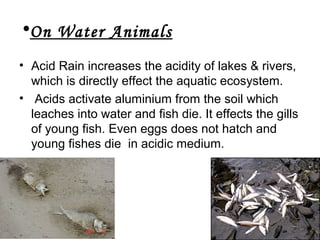Acid rain | PPT