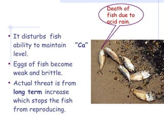 • It disturbs fish
ability to maintain “Ca”
level.
• Eggs of fish become
weak and brittle.
• Actual threat is from
long term increase
which stops the fish
from reproducing.
Death of
fish due to
acid rain.
 