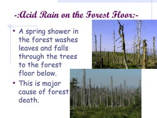 -:Acid Rain on the Forest Floor:-
• A spring shower in
the forest washes
leaves and falls
through the trees
to the forest
floor below.
• This is major
cause of forest
death.
 