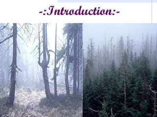 -:Introduction:-

MSN Encarta
 