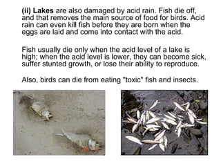 (ii) Lakes are also damaged by acid rain. Fish die off,
and that removes the main source of food for birds. Acid
rain can even kill fish before they are born when the
eggs are laid and come into contact with the acid.
Fish usually die only when the acid level of a lake is
high; when the acid level is lower, they can become sick,
suffer stunted growth, or lose their ability to reproduce.
Also, birds can die from eating "toxic" fish and insects.
 