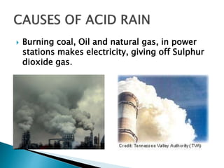  Burning coal, Oil and natural gas, in power
stations makes electricity, giving off Sulphur
dioxide gas.
 