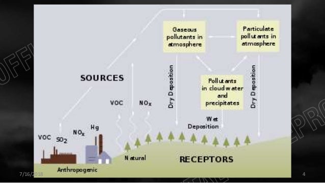Environmental effects of acid rain image