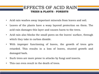 EFFECTS OF ACID RAIN
TREES & PLANTS - FORESTS
• Acid rain washes away important minerals from leaves and soil.
• Leaves of the plants have a waxy layered protection on them. The
acid rain damages this layer and causes harm to the trees.
• Acid rain also blocks the small pores on the leaves' surface, through
which they take in carbon dioxide.
• With improper functioning of leaves, the growth of trees gets
retarded. This results in a loss of leaves, stunted growth and
damaged bark.
• Such trees are more prone to attacks by fungi and insects.
• This can even result in the death of trees.
 