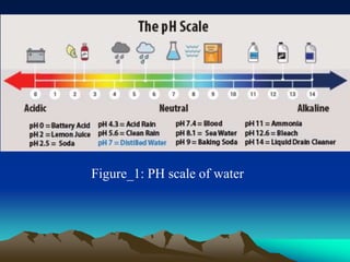 Acid rain all report | PPT
