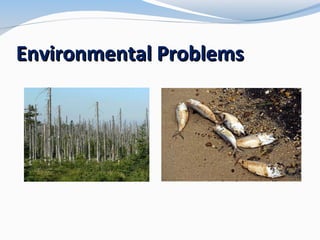 Environmental Problems

 