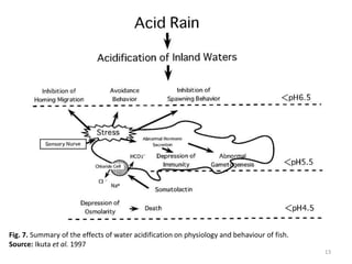 Acid rain and aquatic organisms by Uwamose martin | PPTX
