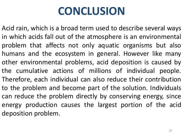Environmental problems solutions essay