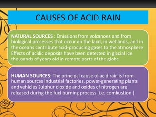what are the causes and effects of acid rain