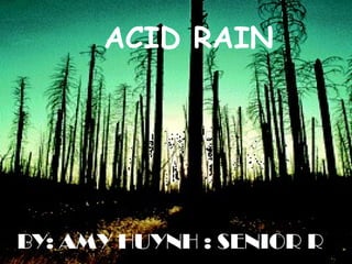 ACID RAIN BY: AMY HUYNH : SENIOR R 