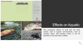 Acid rain by syed Biology Diagrams