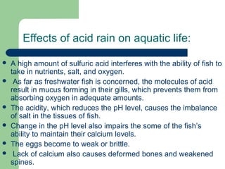 Acid rain by zainab amjad | PPT