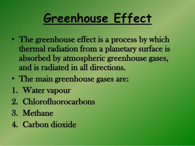 Examples Of Persuasive Essay Greenhouse Effect Essay Questions Critical Analysis Essay also Essay Layouts Greenhouse Effect Essay Questions College Paper Writing Service Slave Trade Essay