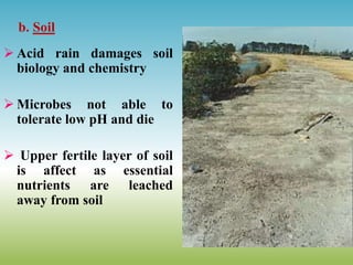 b. Soil
 Acid rain damages soil
biology and chemistry
 Microbes not able to
tolerate low pH and die
 Upper fertile layer of soil
is affect as essential
nutrients are leached
away from soil
 