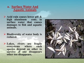 a. Surface Water And
Aquatic Animals
 Acid rain causes lower pH &
high aluminum conc. in
surface water that causes
damages to fish and aquatic
animals.
 Biodiversity of water body is
reduced.
 Lakes, rivers are fragile
ecosystems where each
species depend on other to
survive ,if one disappears
other too disappears.
 