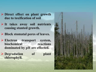  Direct effect on plant growth
due to toxification of soil
 It takes away soil nutrients
causing stunted growth.
 Block stomatal pores of leaves.
 Electron transport system,
biochemical reactions
dominated by pH are effected.
 Degradation of plant
chlorophyll.
 
