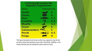 Acid rain PPT.pptx science topic continuing professional development | PPTX