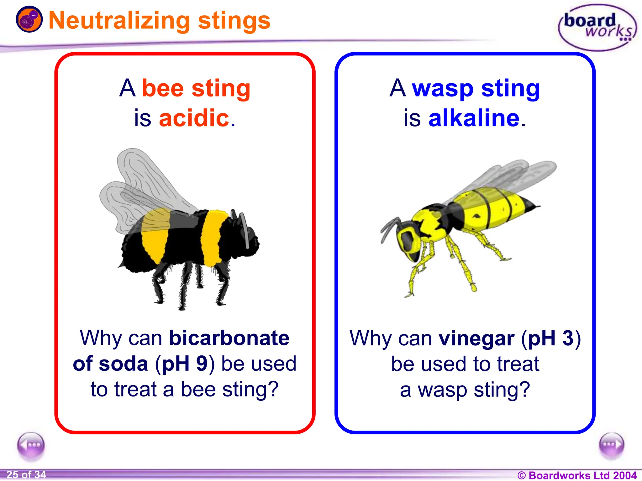 © Boardworks Ltd 2004
1 of 20 © Boardworks Ltd 2004
25 of 34
Neutralizing stings
A bee sting
is acidic.
A wasp sting
is alkaline.
Why can bicarbonate
of soda (pH 9) be used
to treat a bee sting?
Why can vinegar (pH 3)
be used to treat
a wasp sting?
 
