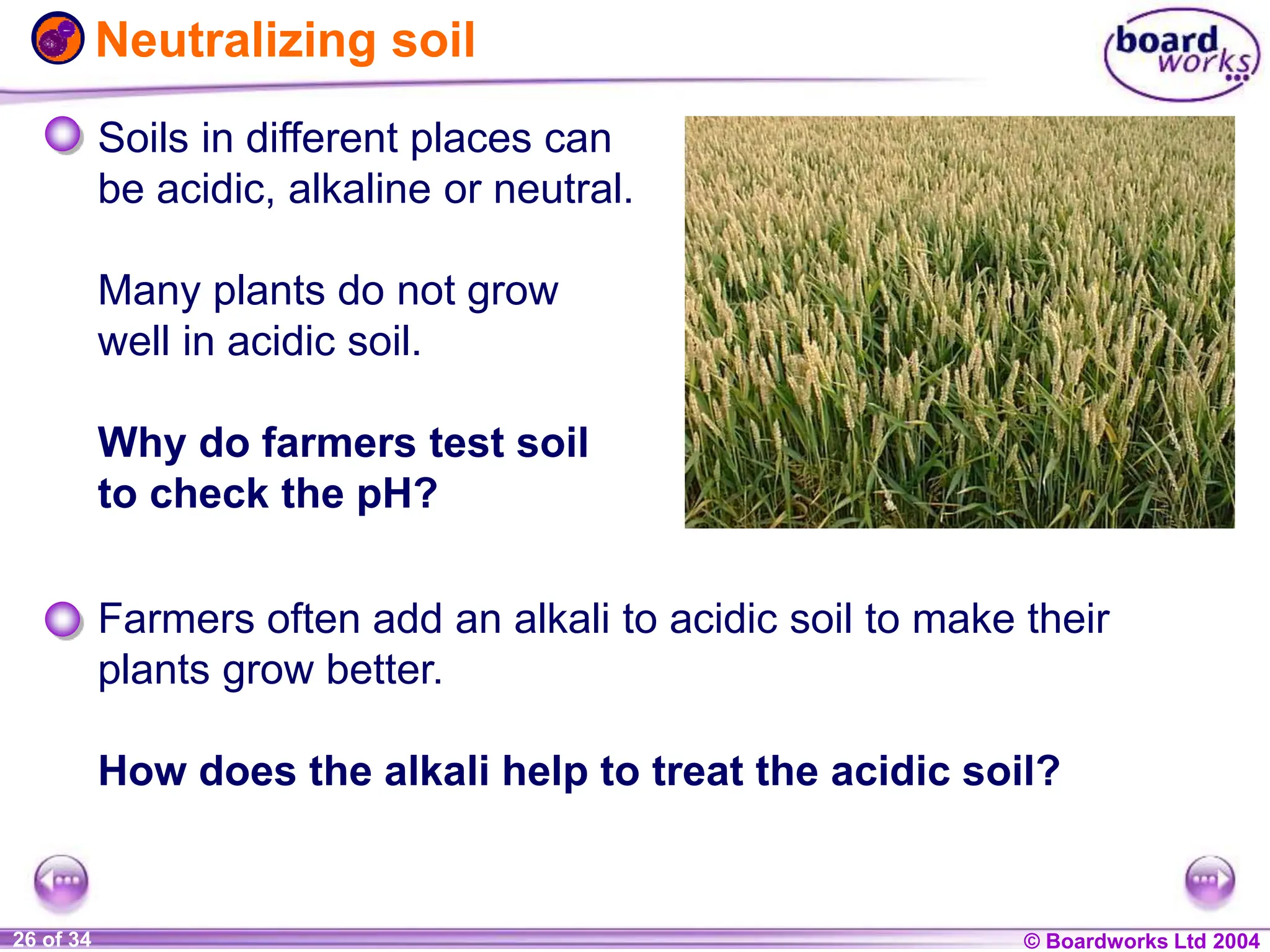 © Boardworks Ltd 2004
1 of 20 © Boardworks Ltd 2004
26 of 34
Neutralizing soil
Soils in different places can
be acidic, alkaline or neutral.
Many plants do not grow
well in acidic soil.
Why do farmers test soil
to check the pH?
Farmers often add an alkali to acidic soil to make their
plants grow better.
How does the alkali help to treat the acidic soil?
 