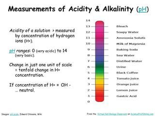 Acids-Bases-Buffers-pH-VCBCct.pptx