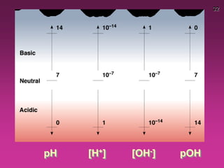 32
pH [H+] [OH-] pOH
 