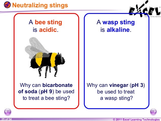 mud wasp sting