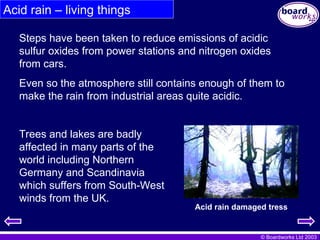 © Boardworks Ltd 2003
Steps have been taken to reduce emissions of acidic
sulfur oxides from power stations and nitrogen oxides
from cars.
Even so the atmosphere still contains enough of them to
make the rain from industrial areas quite acidic.
Acid rain – living things
Trees and lakes are badly
affected in many parts of the
world including Northern
Germany and Scandinavia
which suffers from South-West
winds from the UK.
Acid rain damaged tress
 