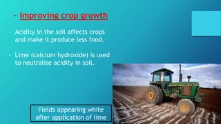 - Improving crop growth
- Acidity in the soil affects crops
and make it produce less food.
- Lime (calcium hydroxide) is used
to neutralise acidity in soil.
Fields appearing white
after application of lime
 