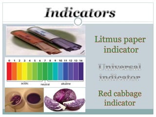 Acids and Bases  مشروع الطالب الالكتروني