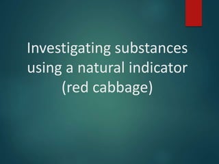 Investigating substances
using a natural indicator
(red cabbage)
 