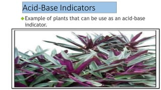 Acid-Base Indicators
Example of plants that can be use as an acid-base
indicator.
 