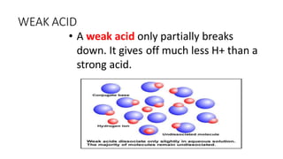 WEAK ACID
• A weak acid only partially breaks
down. It gives off much less H+ than a
strong acid.
 