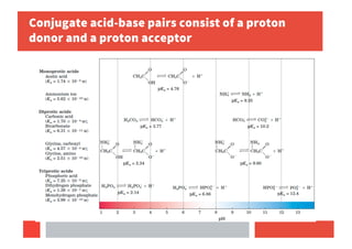 Conjugate acid-base pairs consist of a proton
donor and a proton acceptor
 