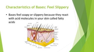 Characteristics of Bases: Feel Slippery
• Bases feel soapy or slippery because they react
with acid molecules in your skin called fatty
acids
 