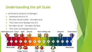 Understanding the pH Scale
 pH stands for (presence of Hydrogen)
 Numbered from 0 to 14.
 The lower the pH number – the higher Acid
 That means more Hydrogen Ions (H+)
 The higher the pH - the higher the Base
 That means less Hydrogen Ions (H+)
 