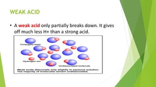 WEAK ACID
• A weak acid only partially breaks down. It gives
off much less H+ than a strong acid.
 