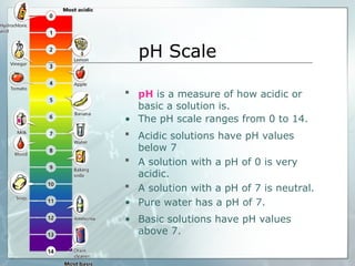 pH Scale
 pH is a measure of how acidic or
basic a solution is.
• The pH scale ranges from 0 to 14.
 Acidic solutions have pH values
below 7
 A solution with a pH of 0 is very
acidic.
 A solution with a pH of 7 is neutral.
• Pure water has a pH of 7.
• Basic solutions have pH values
above 7.
 