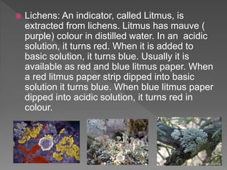  Lichens: An indicator, called Litmus, is
extracted from lichens. Litmus has mauve (
purple) colour in distilled water. In an acidic
solution, it turns red. When it is added to
basic solution, it turns blue. Usually it is
available as red and blue litmus paper. When
a red litmus paper strip dipped into basic
solution it turns blue. When blue litmus paper
dipped into acidic solution, it turns red in
colour.
 
