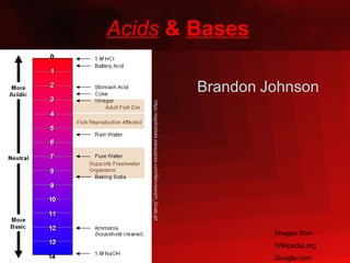 Acids   &   Bases Brandon   Johnson Images from: Wikipedia.org Google.com https://eapbiofield.wikispaces.com/file/view/pH_Scale.gif 