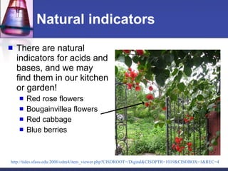 Natural  indicators There are natural indicators for acids and bases, and we may find them in our kitchen or garden!  Red rose flowers Bougainvillea flowers Red cabbage Blue berries http:// tides.sfasu.edu :2006/cdm4/ item_viewer.php?CISOROOT =/ Digital&CISOPTR =1019&CISOBOX=1&REC=4 