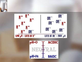 Acids, Bases, and pH2.ppt